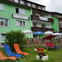 Hotel-Pension Dressel, hotel v destinácii Warmensteinach
