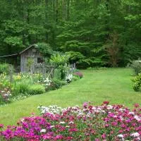 Garden of Eden Cabins, hotel sa Cosby