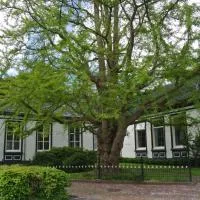 Pastorie Tijdverblijf, hotell i Zuidhorn