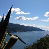 Albergo Suisse Bellevue, hotel in Monterosso al Mare
