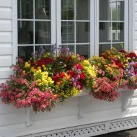 Côté's Bed & Breakfast, hotel in Grand Falls