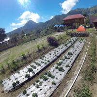 Bale Sembahulun Cottages & Tend, hotel in Sembalun Lawang