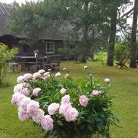 Männi Summerhouse โรงแรมในKassari