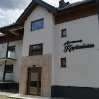 Apartamenty Kapitanskie, hotel en Iława