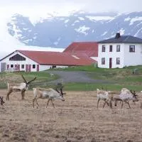 Guesthouse Holmur, hotel di Hólmur
