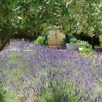 Clos des Lavandes - Chambres et Suites de charme climatisées-Luberon, hotel a Lacoste