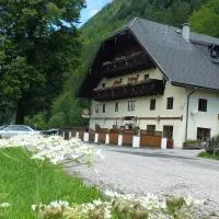 Gasthof Steinbräu: Faistenau şehrinde bir otel