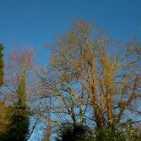 Thornybank, hotel in Cromer