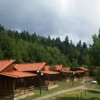 Livadaki Village - Δασικό Χωριό Λιβαδάκι, hotel di Karpenision