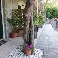 Affittacamere arabafenice, hotel u gradu Vecano Ligure