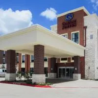 Comfort Suites Kyle, hotel en Kyle