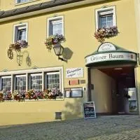 Hotel Grüner Baum, hotelli kohteessa Naila