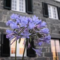 BELO CAMPO - Ilha do Faial (Horta), hotel a prop de Aeroport d'Horta - HOR, a Castelo Branco