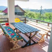 Pensiunea Drumul Voievozilor, hotel u gradu Arefu