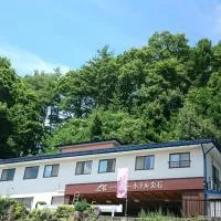 Hotel Togariishi, хотел в Чино