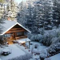 The Chalets Naldehra, hotel i Shimla