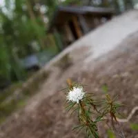 Pielppa Lodge, hotel a Orivesi