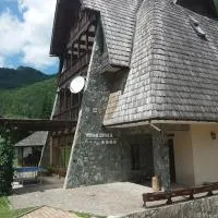 Vila Ursul, khách sạn ở Ciungetu