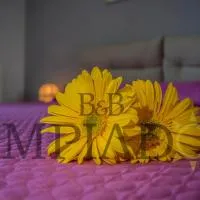 Limpiados Bed & Breakfast、リカータのホテル