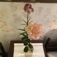 Viesnīca Berte Bed&Breakfast pilsētā Slöinge