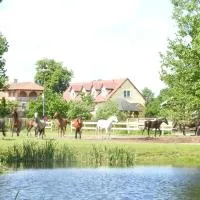 Gospodarstwo Kaczynski Ostrołęka, hotel en Wyszel