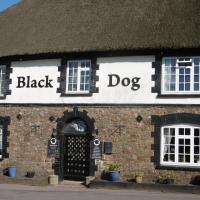 The Black Dog Inn, hotel in Crediton