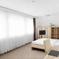Hotel Stadt Tuttlingen, хотел в Тутлинген