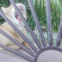 appartamento accogliente e luminoso