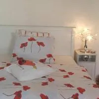 Penzion-apartmán U Johana, отель в городе Моравска-Тршебова