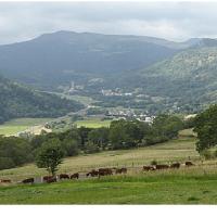 Vacances au pied des Monts du Cantal