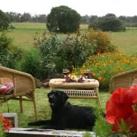SilverSprings Spa Retreat Pet Friendly Cottages and Glampings, hotel din Metricup