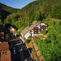 Hotel Die Kleine Blume, hotel v destinaci Erfweiler