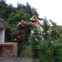 Pensiunea Paradis, hotel di Borobăneşti