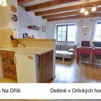 Viesnīca Chata Na Dříši pilsētā Deštne Orlica kalnos