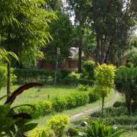 Jungle Base Camp: Bardia şehrinde bir otel