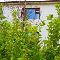 Guesthouse Kálfafellsstadur, hôtel à Kálfafellsstaður