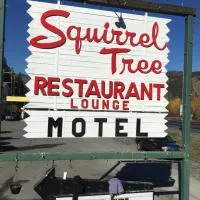 Squirrel Tree Resort, hotel en Merritt