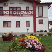 Pensiunea Simona, viešbutis mieste Perişor