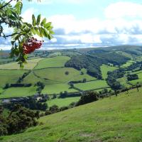 Rose Cottage Dutlas, hotel in Knighton