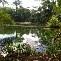 Rainforest Eco Lodge, hotel near Nausori International Airport - SUV, Suva