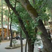Yosemite Bug Rustic Mountain Resort, hotel u gradu Midpajns