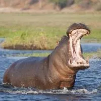 KuShengesa में, होटल Kosi Bay Hippo Lodge & Resort