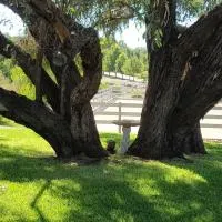 Equestrian Farm Stay – hotel w mieście One Tree Hill