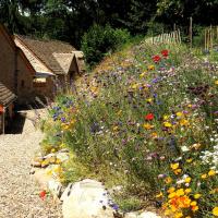 Domaine des Marequiers chambre Alchemille