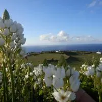 Casa do Norte - Santa Maria、Norteのホテル