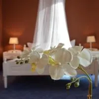 Viesnīca Hotel Shterev Sopot pilsētā Sopota