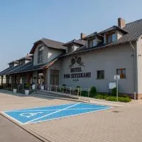 Hotel Pod Szyszkami, hotel en Koźmin