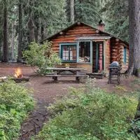 Shelter Cove Resort & Marina, Hotel in Odell Lake