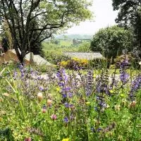 Domaine des Maréquiers chambre Mélilot، فندق في Saint-Germain-du-Teil