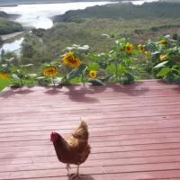 Taranaki, hotel a Waihaha